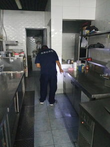 專業(yè)高效，安心無憂 西城遠(yuǎn)洋風(fēng)景小區(qū)家庭上門滅蟑螂服務(wù)詳解