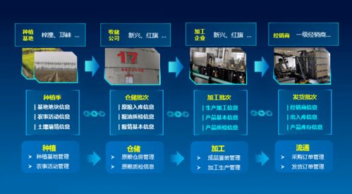 科技賦能，守護“天府糧倉”——川糧集團以全產業鏈云碼溯源引領糧油質量安全新標桿